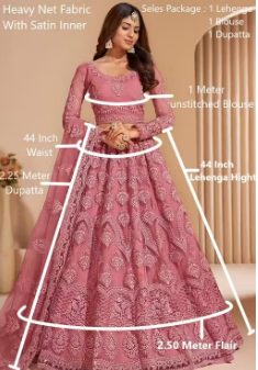 NET EMBROIDERED LEHENGA CHOLI